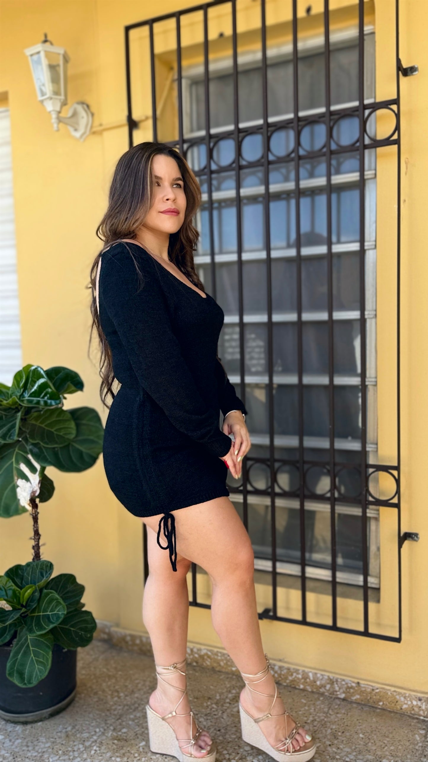 Valentina Mini Dress