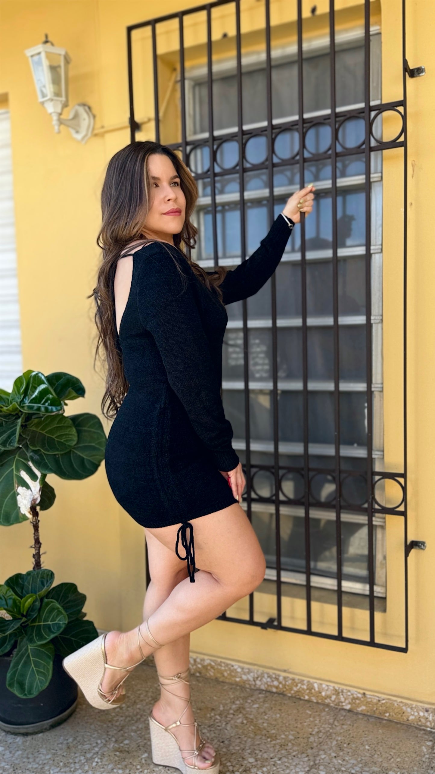 Valentina Mini Dress